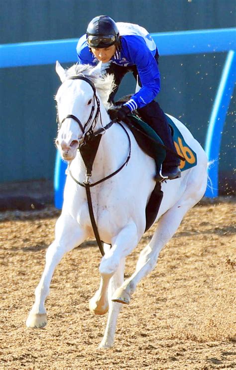 【新馬戦出走馬】白毛馬ハイアムズビーチの初陣は12日の東京5r！ ソダシのいとこに萩原師「完成度高い」 Umatoku 馬トク