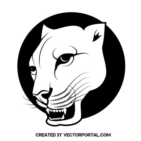 Puma wild cat image Royalty Free Stock SVG Vector