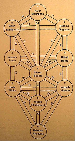 Larbre des Sephiroth Kabbale Arbre séphirotique Kabbale Arbre de vie