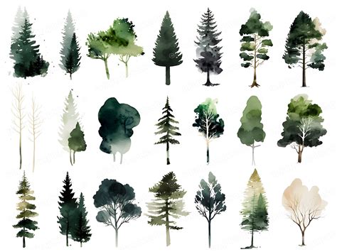 Watercolor Forest Tree Clipart Woodland Clipart Pine Tree Clipart Watercolor Trees For