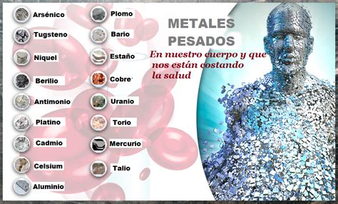 Metales Pesados Pueden Estar Acabando Con Nuestra Salud Heavy Metal