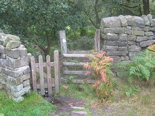 Shining Cliff Wood Near Alderwasley Derbyshire The Entran Flickr