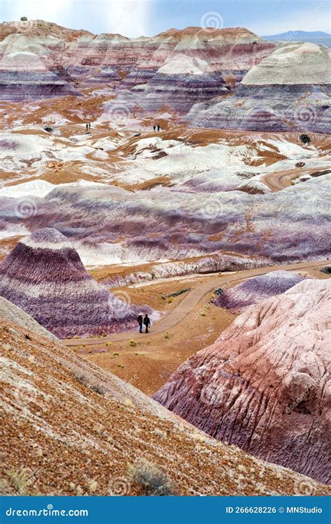 Striped Purple Sandstone Formations Of Blue Mesa Badlands In Petrified