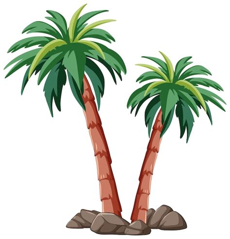 Ilustraci N Vectorial De Las Palmeras Tropicales Vector Premium