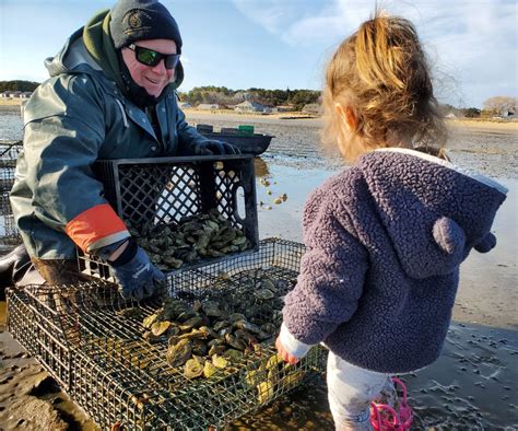 Wellfleet Oysters from Wellfleet, MA - Island Creek Oysters | Buy Oysters Online