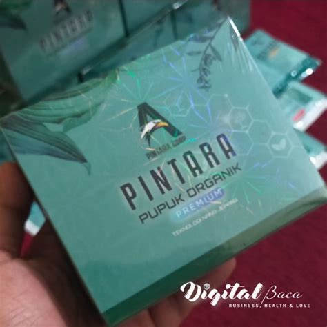 Jual Pupuk Pintara Organik Premium Teknologi Nano Nutrisi Tinggi Paket