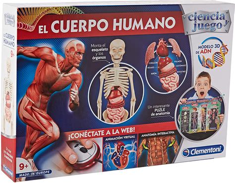 Juguetes Para Aprender El Cuerpo Humano Top Precios Julio