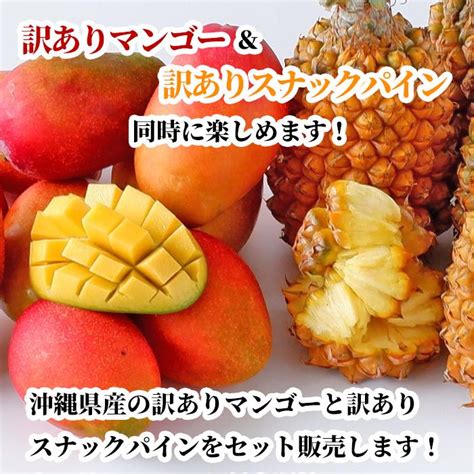 沖縄県産【訳あり】アップルマンゴー＆【訳あり】スナックパイン食べ比べセット2〜3玉600g以上＆1〜2玉12kg以上【送料無料