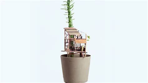 This Artist Builds Whimsical Mini Tree Houses Around House Plants