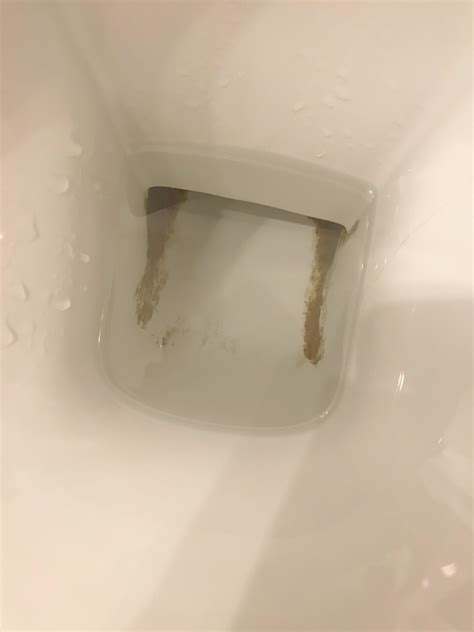 How To Clean Toilet Rust I Cannot Drain The Toilet Of Water R