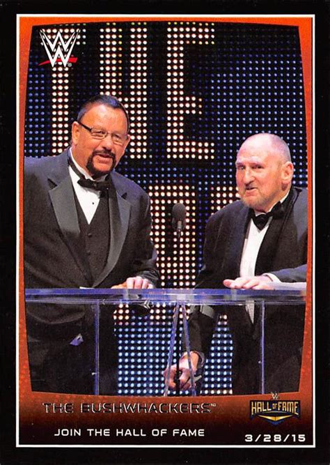 The Bushwhackers trading card (Wrestling, WWE, Hall of Fame Induction 3 ...