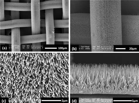 Sem Images Of The As Grown Zno Nanorod Arrays On The Stainless Steel