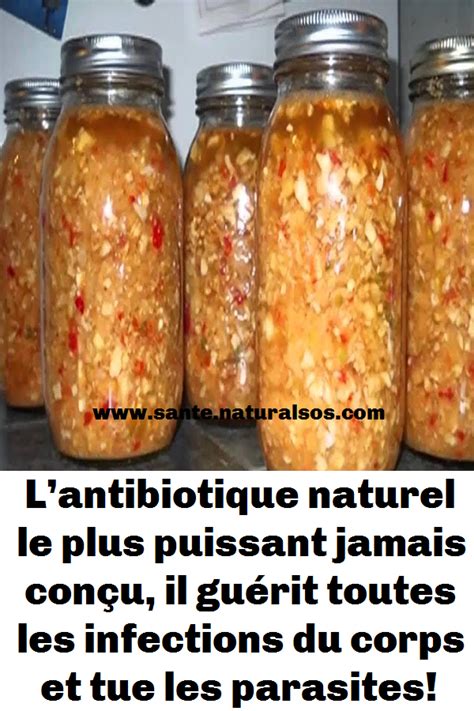 Lantibiotique Naturel Le Plus Puissant Jamais Conçu Il Guérit Toutes