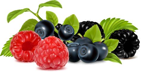 Berries Transparent Background PNG Play