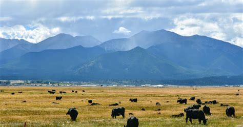 Salida, Colorado | Salida colorado, Colorado trail, Salida