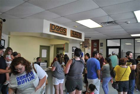 Pasadena shelter breaks record for pet adoptions