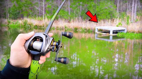 Catching Bass Every Cast Pond Hopping Bank Fishing Youtube