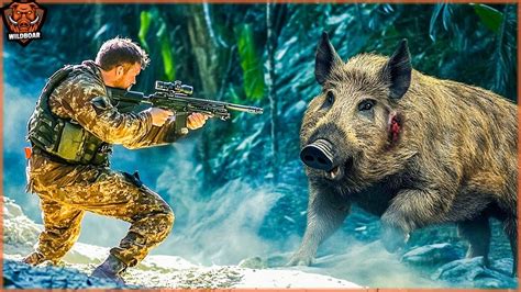 How Us Hunters And Farmers Deal With Millions Of Wild Boar Brutal Attack And Invasive Species