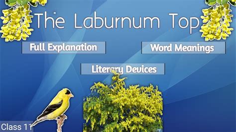 What Is The Significance Of Yellow In The Poem The Laburnum Top At Taj