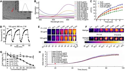 The Characteristics Of Cus And Cell Biocompatibility In Vitro And In