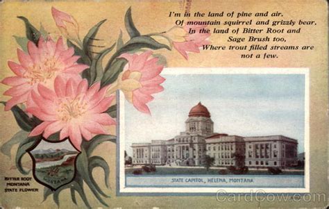 Montana State Flower and Capitol Helena, MT State Flowers & Seals