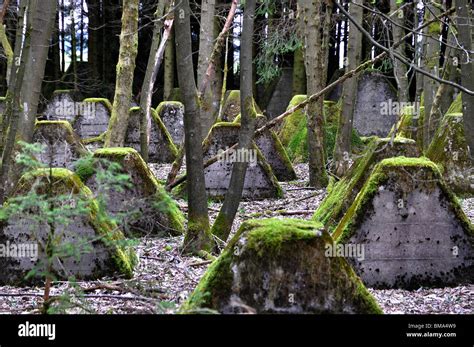 Dragon's teeth tank obstacles in German Siegfried Line, Hollerath Stock Photo: 29726853 - Alamy