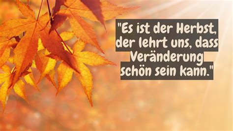 Inspirierende Herbstzitate Meine Reise Durch Den Goldenen Herbst