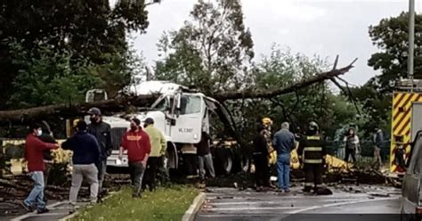 Tragedia Conductor Muere Tras Ser Aplastado Por Rbol Que Cay Sobre