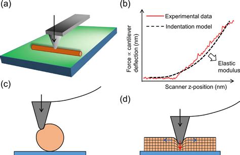 Afm Based Nanoindentation A Tip Performs Vertical Force Measurements