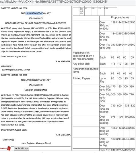 Ivy Nyayieka's Data and Databases project website