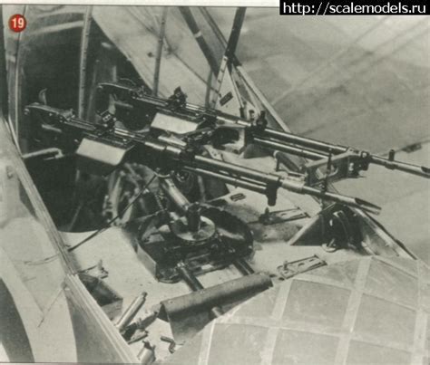 Mg Position Fairey