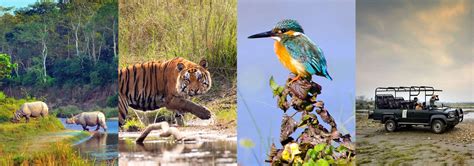 Wildlife Tour In Nepal Best Wildlife Safaris And Tours