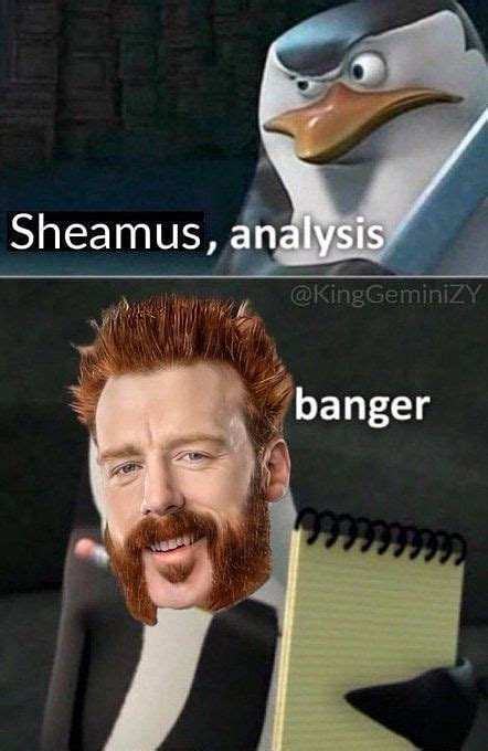 Please Don T Try This At Home Wwe Universe Reacts To Crazy Sheamus