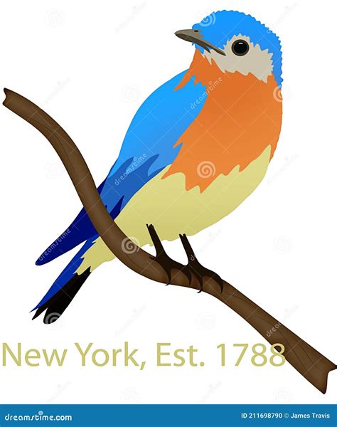 Bluebird Illustration Vector Line Art Bird CartoonDealer 158442424