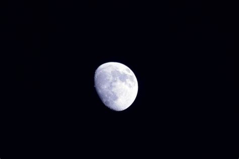 Banco De Imagens Preto E Branco Atmosfera Sombrio Lua Cheia