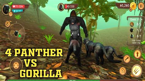 Cruel Wild Night Panther Vs Gorilla Fight In Wild Panther Sim D