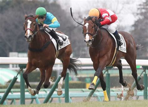 【中山6r新馬戦】エバーハンティングがv― スポニチ Sponichi Annex ギャンブル