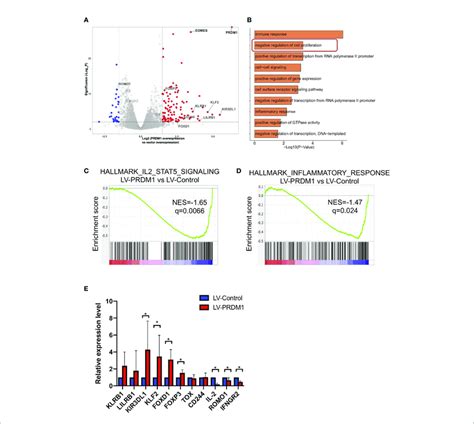 T Cell Highly Expressing PRDM1 Exhibited Tolerant Transcription