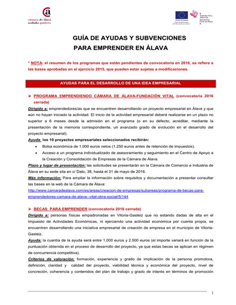 guía de ayudas y subvenciones para emprender en álava