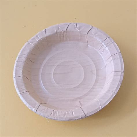 Plain Inch Mica Paper Round Disposable Plate At Rs Piece In