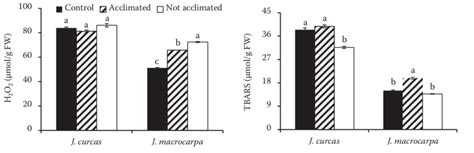 Hydrogen Peroxide H 2 O 2 And Thiobarbituric Acid Reactive