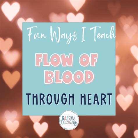 Fun Ways I Teach Flow Of Blood Through Heart Rae Rocks Teaching