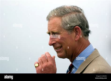 Prince charles hair hi-res stock photography and images - Alamy