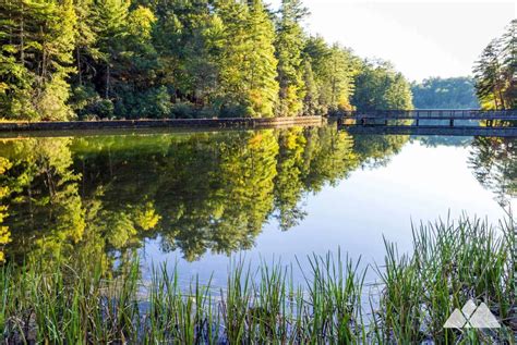 Unicoi State Park Cabins Review - Atlanta Trails