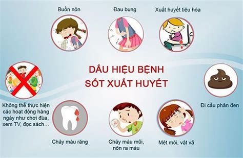 Sốt Xuất Huyết Nguyên Nhân Triệu Chứng điều Trị Và Cách Phòng Trạm