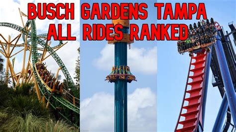 All Rides At Busch Gardens Tampa Bay Ranked Youtube