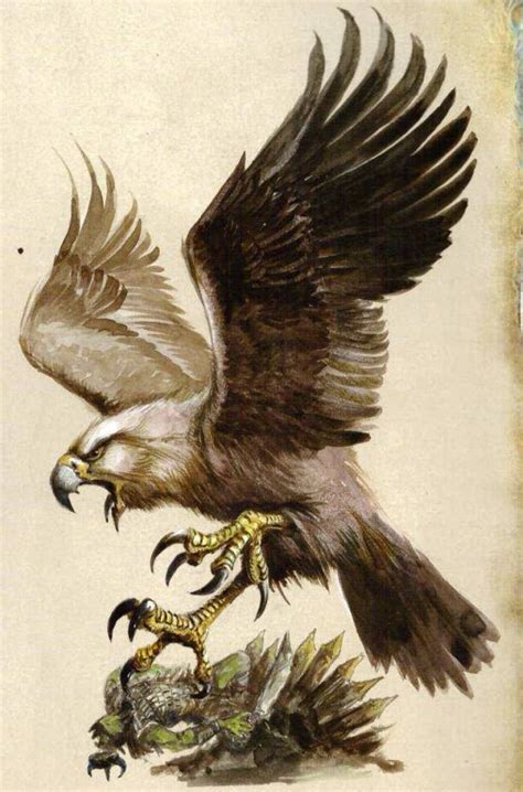 Filegreat Eagle Som Warhammer The Old World Lexicanum