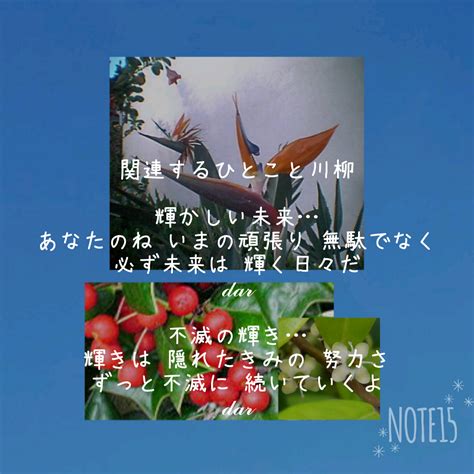 今日の花たち1216金 花言葉と 関連するひとこと川柳 ストレリチア 気取った恋･恋する伊達者･輝かしい未来･寛容 クリスマスホーリー 清廉潔白･先見の明･予見･慎重･用心･不滅の