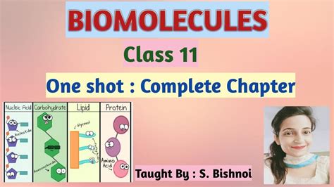 Biomolecules Class 11th Full Chapter 9 Biology Ncert Cbse Youtube