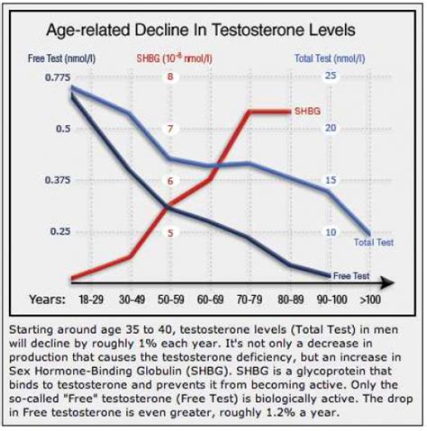 Healthy Testosterone Levels For Men Hubpages